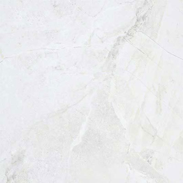 Picture of American Wonder Porcelain - Marble Folio 24 x 24 Matte Daino Reale