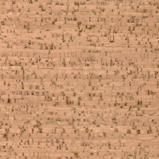 Picture of Globus Cork - Striata Texture 12 x 36 Bleached
