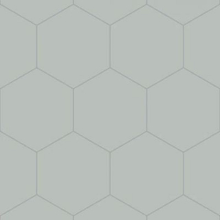 Picture of Bisazza Mosaico - Cementiles Full Colors Hex Nebbia
