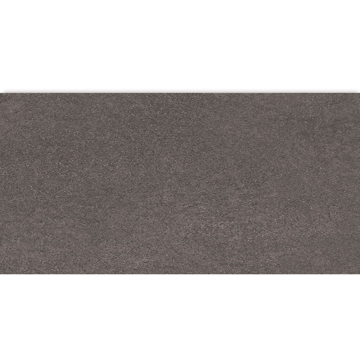 Picture of American Wonder Porcelain - Mars Stone II 24 x 48 Matte Ash Valley