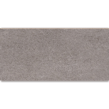 Picture of American Wonder Porcelain - Mars Stone II 24 x 48 Matte Silver Stone
