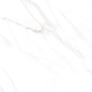Picture of American Wonder Porcelain - Sherron 24 x 24 Polished White