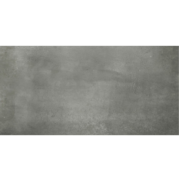 Picture of Anatolia Tile & Stone - Ceraforge 12 x 24 Titanium