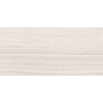 Picture of Eleganza Tiles - Coastline Moderne 24 x 48 Matte Carmel