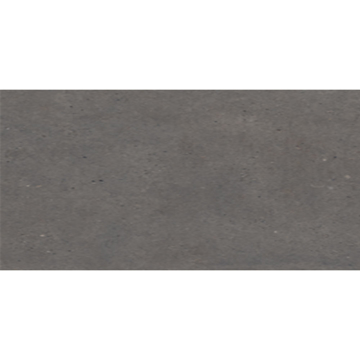 Picture of Eleganza Tiles - Silver Grain 24 x 48 Dark Anti-Slip
