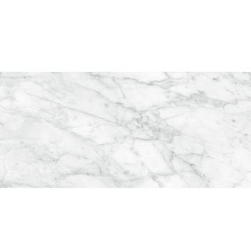 Picture of Anatolia Tile & Stone - Plata 12 x 24 Carrara Abisso Matte