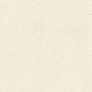 Picture of Anatolia Tile & Stone - Serene Ivory 24 x 24 Serene Ivory