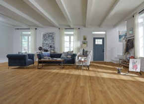 Show products in category Laminate