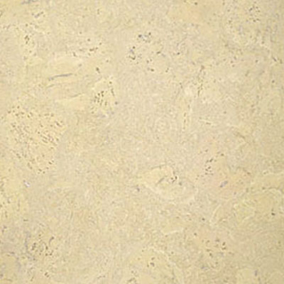 Picture of Globus Cork - Nugget Texture 18 x 24 Whitewashed