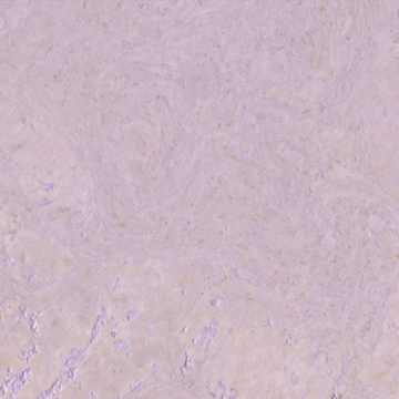 Picture of Globus Cork - Nugget Texture 6 x 12 Lavender