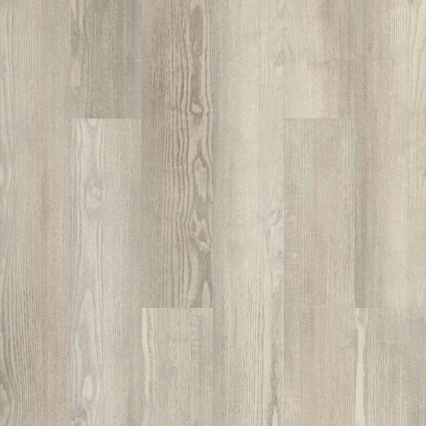 Picture of 5th and Main - Symbiotic 20 Shoreline