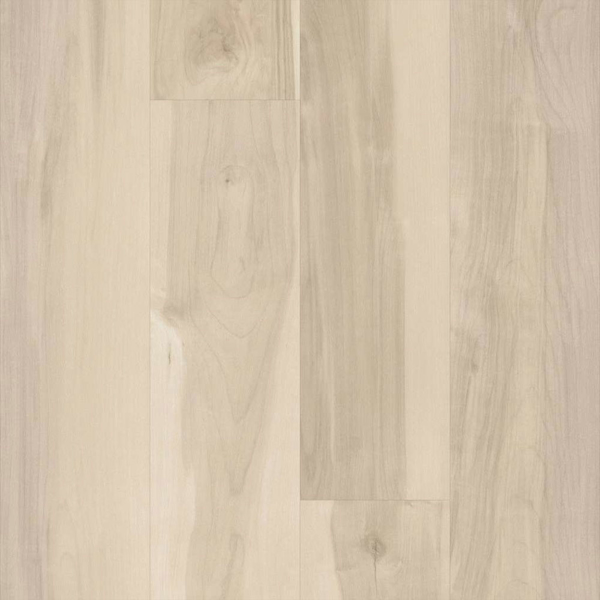 Picture of 5th and Main - Symbiotic 5.0 Nova