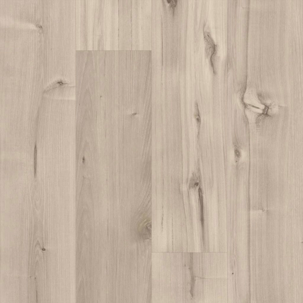 Picture of 5th and Main - Symbiotic 30 Canvas