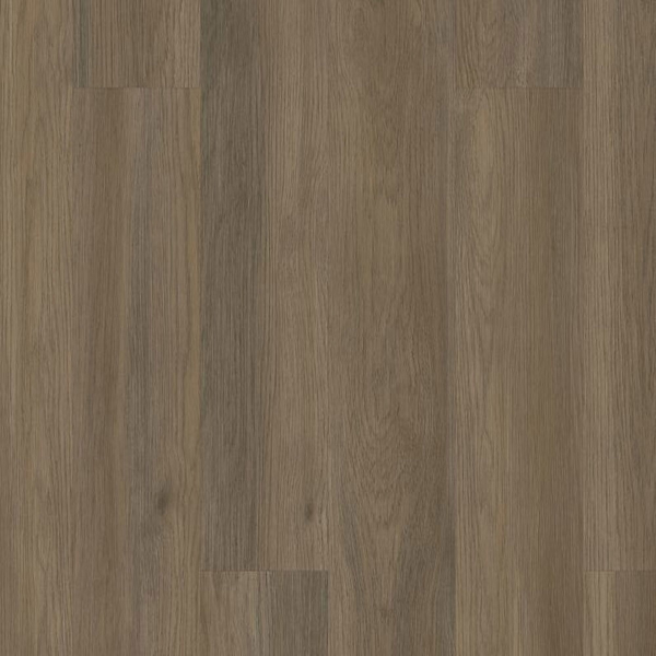 Picture of 5th and Main - Alba Reserve 12 Native Pecan