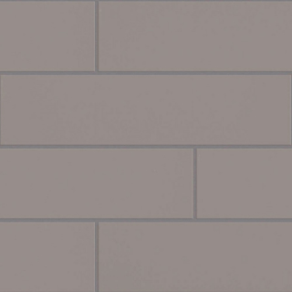 Picture of Shaw Floors - Baker Blvd 4 x 16 Taupe Gloss