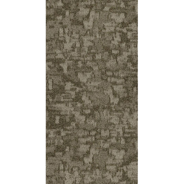 Picture of Philadelphia Commercial by Shaw - Arid 18 x 36 Salt Flat
