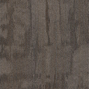 Picture of Philadelphia Commercial by Shaw - Chiseled Construct