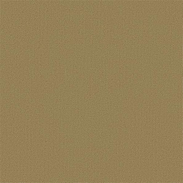 Picture of Philadelphia Commercial by Shaw - Color Accents 24 x 24 Aloe
