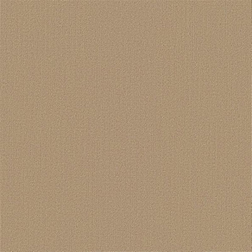Picture of Philadelphia Commercial by Shaw - Color Accents 24 x 24 Autumn Gold