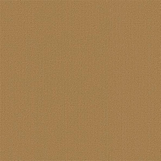 Picture of Philadelphia Commercial by Shaw - Color Accents 24 x 24 Brasserie