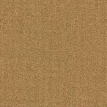 Picture of Philadelphia Commercial by Shaw - Color Accents 24 x 24 Brasserie