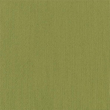Picture of Philadelphia Commercial by Shaw - Color Accents 24 x 24 Brite Green