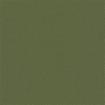 Picture of Philadelphia Commercial by Shaw - Color Accents 24 x 24 Cactus