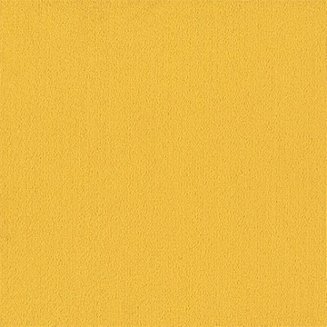 Picture of Philadelphia Commercial by Shaw - Color Accents 24 x 24 Citrus