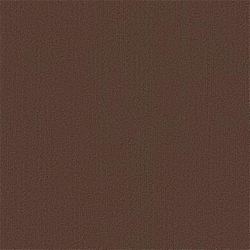 Picture of Philadelphia Commercial by Shaw - Color Accents 24 x 24 Coffee