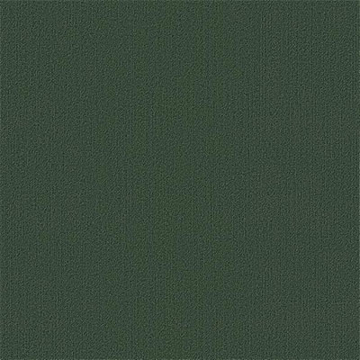 Picture of Philadelphia Commercial by Shaw - Color Accents 24 x 24 Cyprus