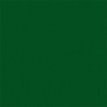 Picture of Philadelphia Commercial by Shaw - Color Accents 24 x 24 Dark Green