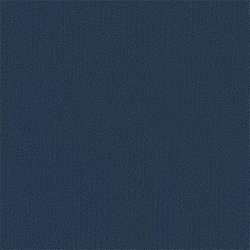 Picture of Philadelphia Commercial by Shaw - Color Accents 24 x 24 Deep Navy