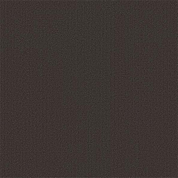 Picture of Philadelphia Commercial by Shaw - Color Accents 24 x 24 Ebony