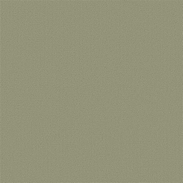 Picture of Philadelphia Commercial by Shaw - Color Accents 24 x 24 Fescue