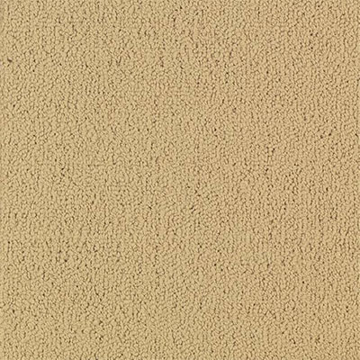 Picture of Philadelphia Commercial by Shaw - Color Accents 24 x 24 Flax
