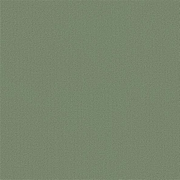 Picture of Philadelphia Commercial by Shaw - Color Accents 24 x 24 Foliage