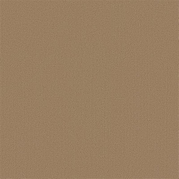 Picture of Philadelphia Commercial by Shaw - Color Accents 24 x 24 Gilded