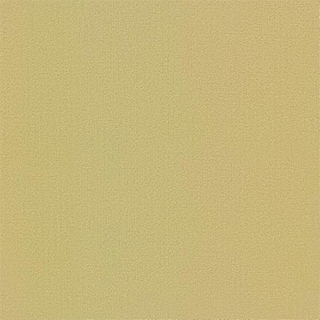 Picture of Philadelphia Commercial by Shaw - Color Accents 24 x 24 Glaze