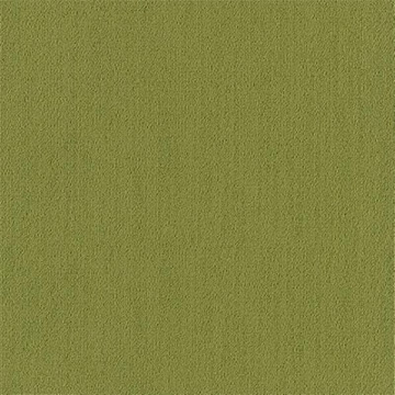 Picture of Philadelphia Commercial by Shaw - Color Accents 24 x 24 Green