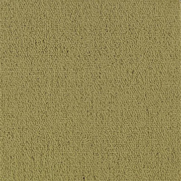 Picture of Philadelphia Commercial by Shaw - Color Accents 24 x 24 Herbal