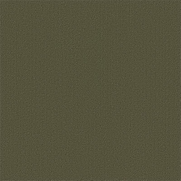 Picture of Philadelphia Commercial by Shaw - Color Accents 24 x 24 Ivy