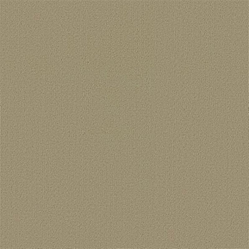 Picture of Philadelphia Commercial by Shaw - Color Accents 24 x 24 Lichen