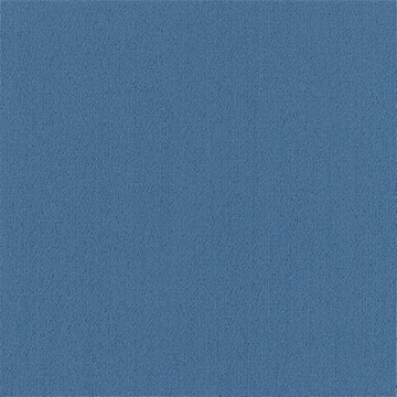 Picture of Philadelphia Commercial by Shaw - Color Accents 24 x 24 Marina