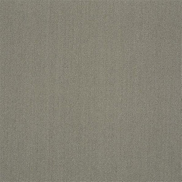 Picture of Philadelphia Commercial by Shaw - Color Accents 24 x 24 Mineralite