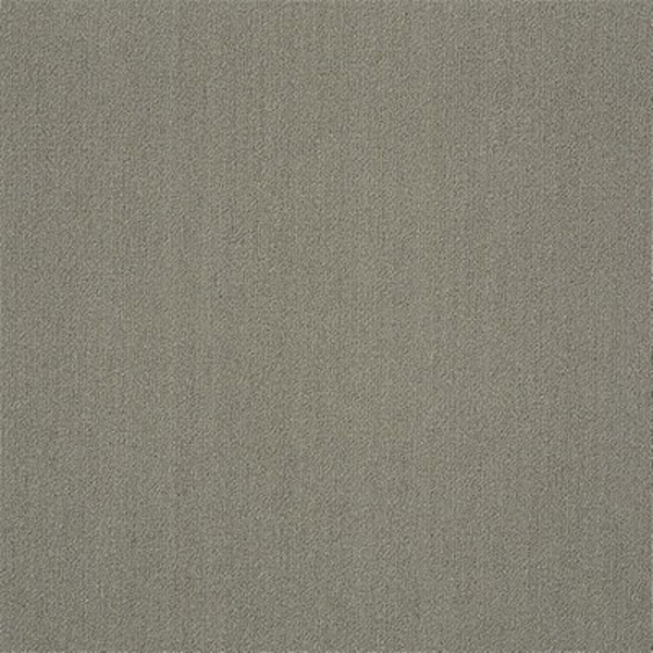 Picture of Philadelphia Commercial by Shaw - Color Accents 24 x 24 Mineralite