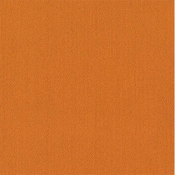 Picture of Philadelphia Commercial by Shaw - Color Accents 24 x 24 Orange