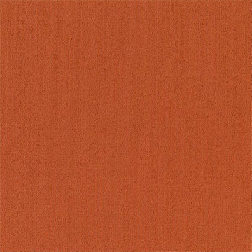 Picture of Philadelphia Commercial by Shaw - Color Accents 24 x 24 Paprika
