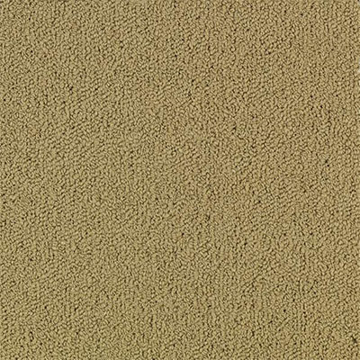 Picture of Philadelphia Commercial by Shaw - Color Accents 24 x 24 Pecan