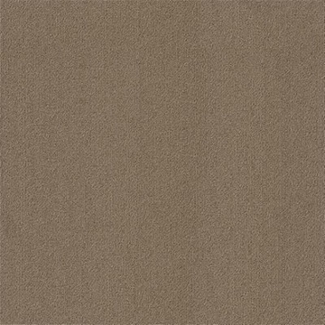 Picture of Philadelphia Commercial by Shaw - Color Accents 24 x 24 Portabella