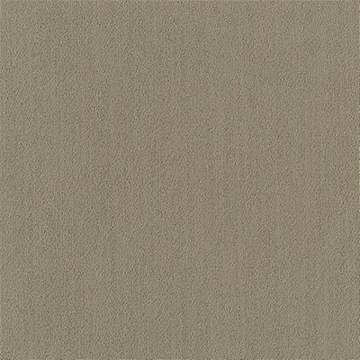 Picture of Philadelphia Commercial by Shaw - Color Accents 24 x 24 Sage